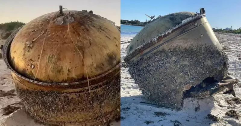 Imagem de capa de 5 Descobertas Fascinantes Encontradas em Praias